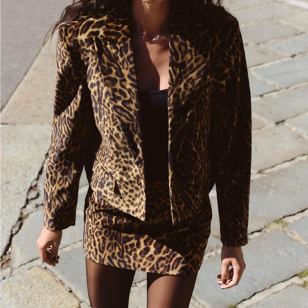 Zara Animal Print Mini Velvet Skirt